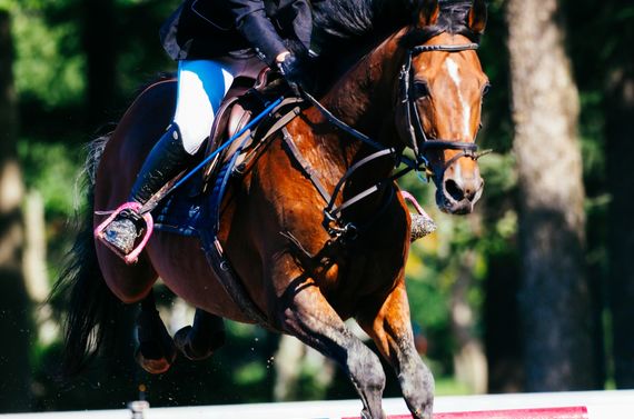 千葉で乗馬の障害飛越に挑戦したい方はぜひ気軽にお問い合わせください