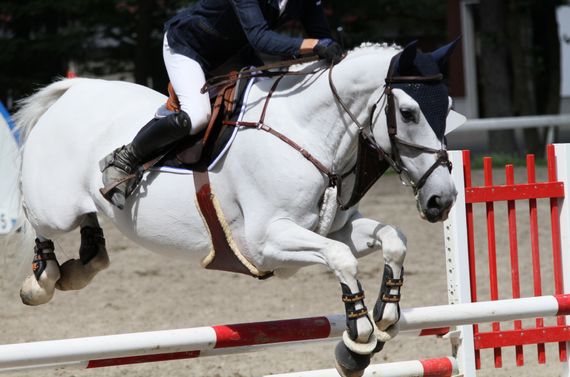 千葉で乗馬や障害馬術を学びたい方に丁寧なレッスンを行っております