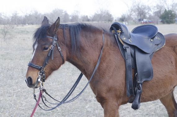 千葉の株式会社クリアラウンドはマンツーマンでの乗馬指導を行っております