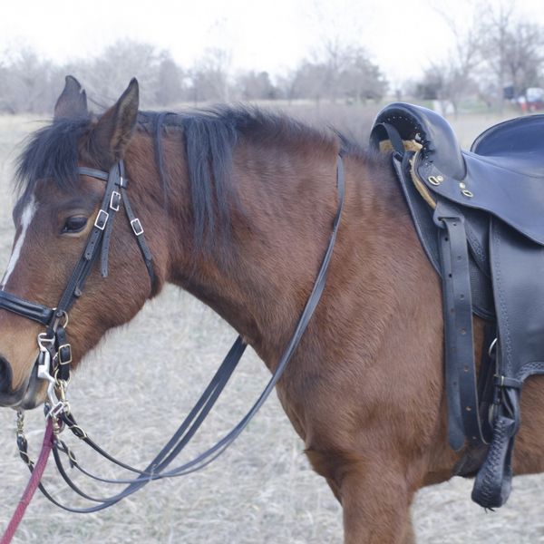 千葉の株式会社クリアラウンドはマンツーマンでの乗馬指導を行っております