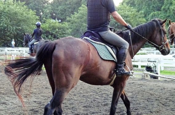 千葉で乗馬のプライベートレッスンを受けたいとお考えの方におすすめです