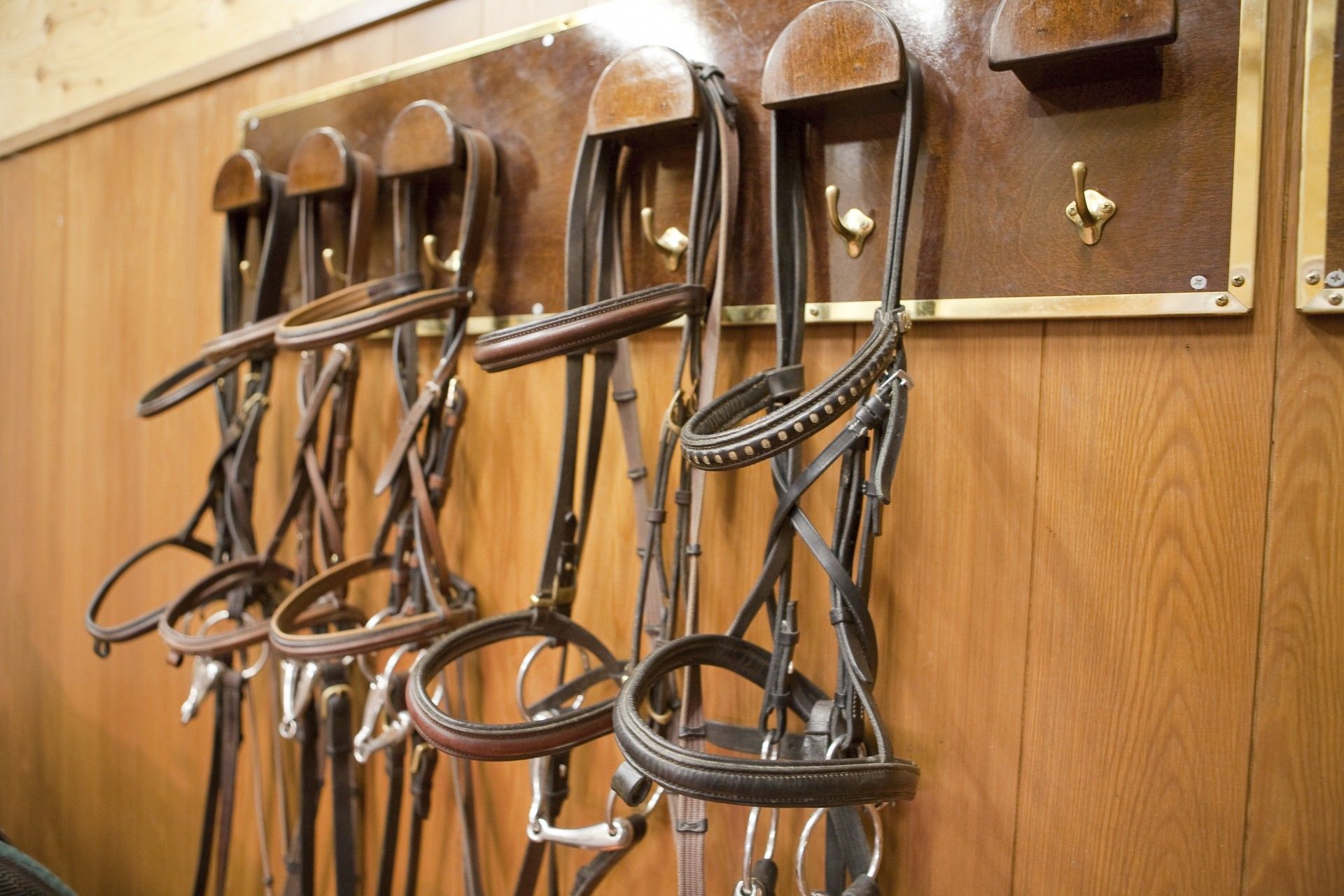 たくさんの手綱