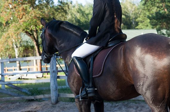 千葉周辺で未経験でも歓迎の乗馬クラブをお探しの方におすすめです