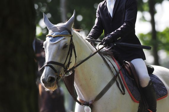 千葉で自馬での乗馬ができるクラブをお探しの方はぜひご相談ください